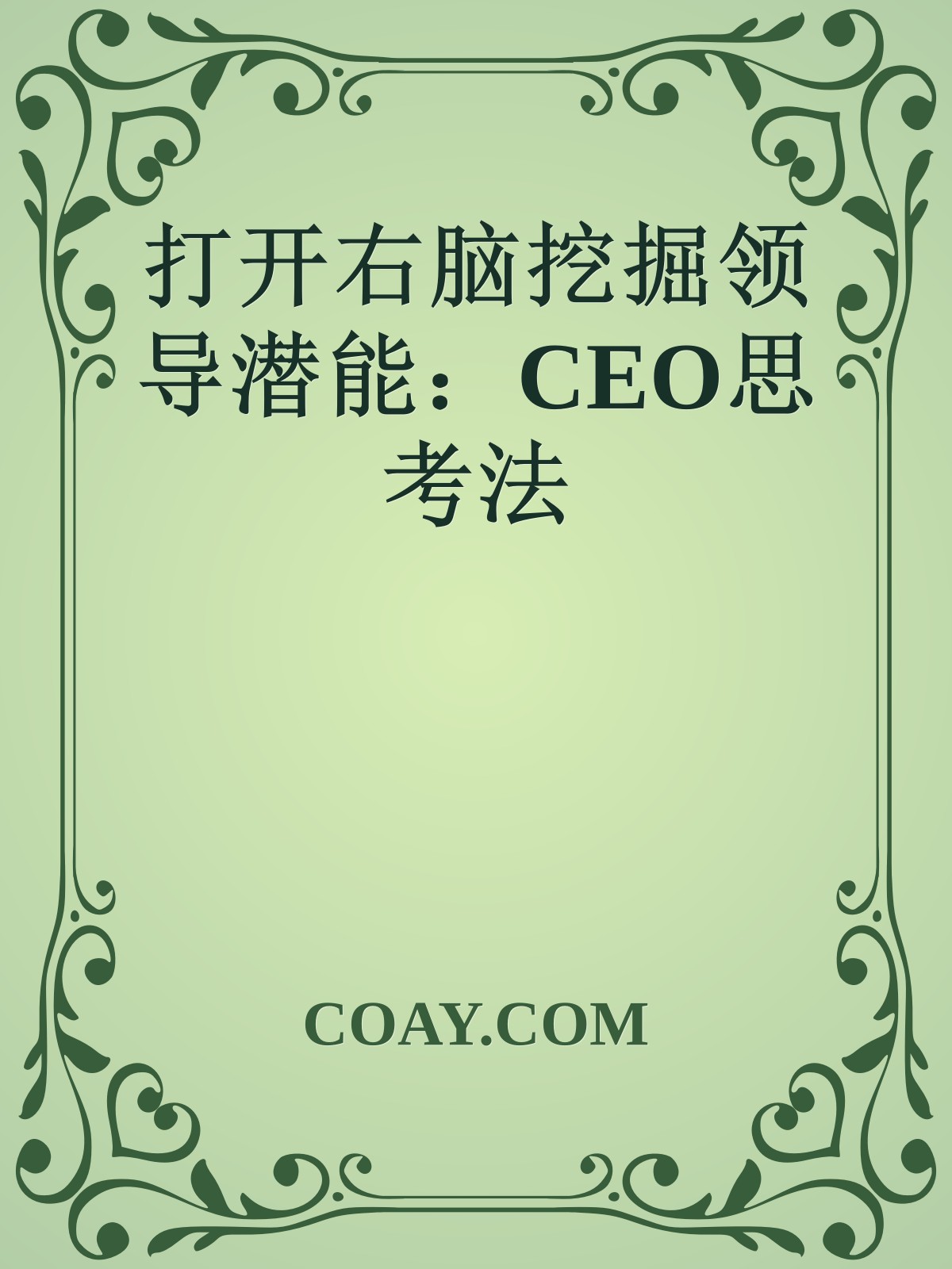 打开右脑挖掘领导潜能：CEO思考法