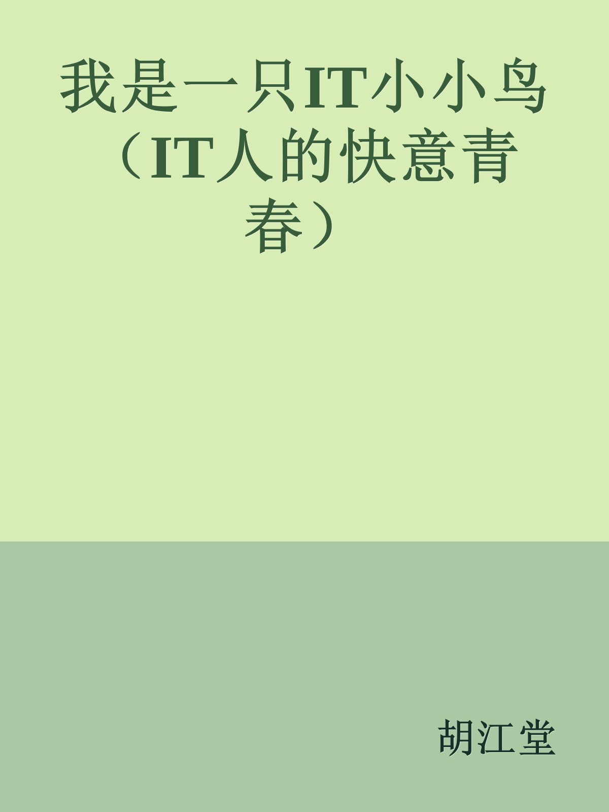 我是一只IT小小鸟（IT人的快意青春）