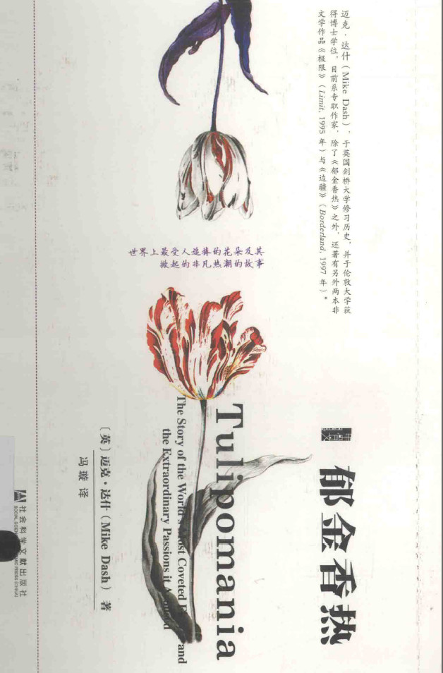 郁金香热A