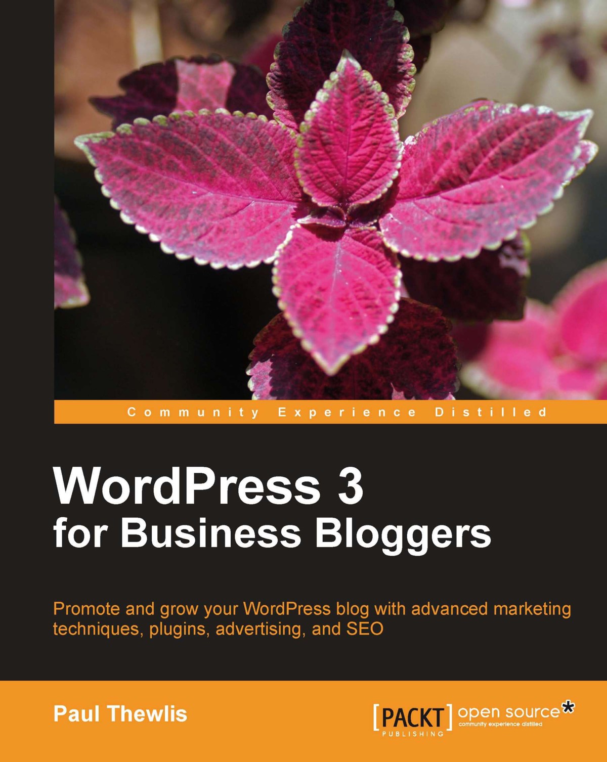 WordPress 3 for Business Bloggers