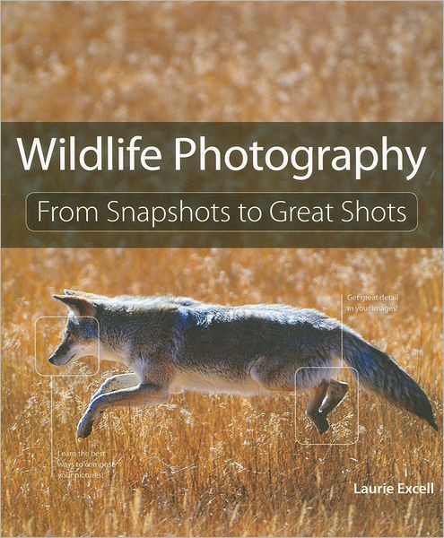 Wildlife Photography: From Snapshots to Great Shots