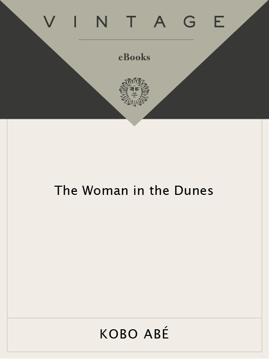 The Woman in the Dunes