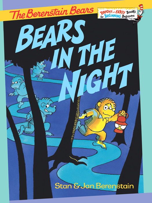 The Berenstain Bears and the Bears in the Night