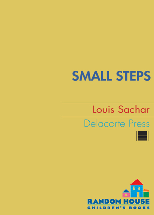 Small Steps