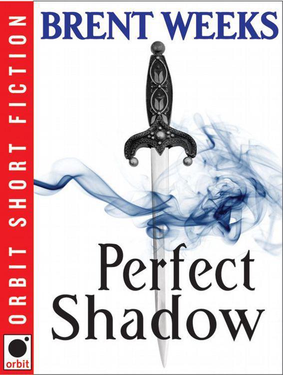 Perfect Shadow: A Night Angel Novella