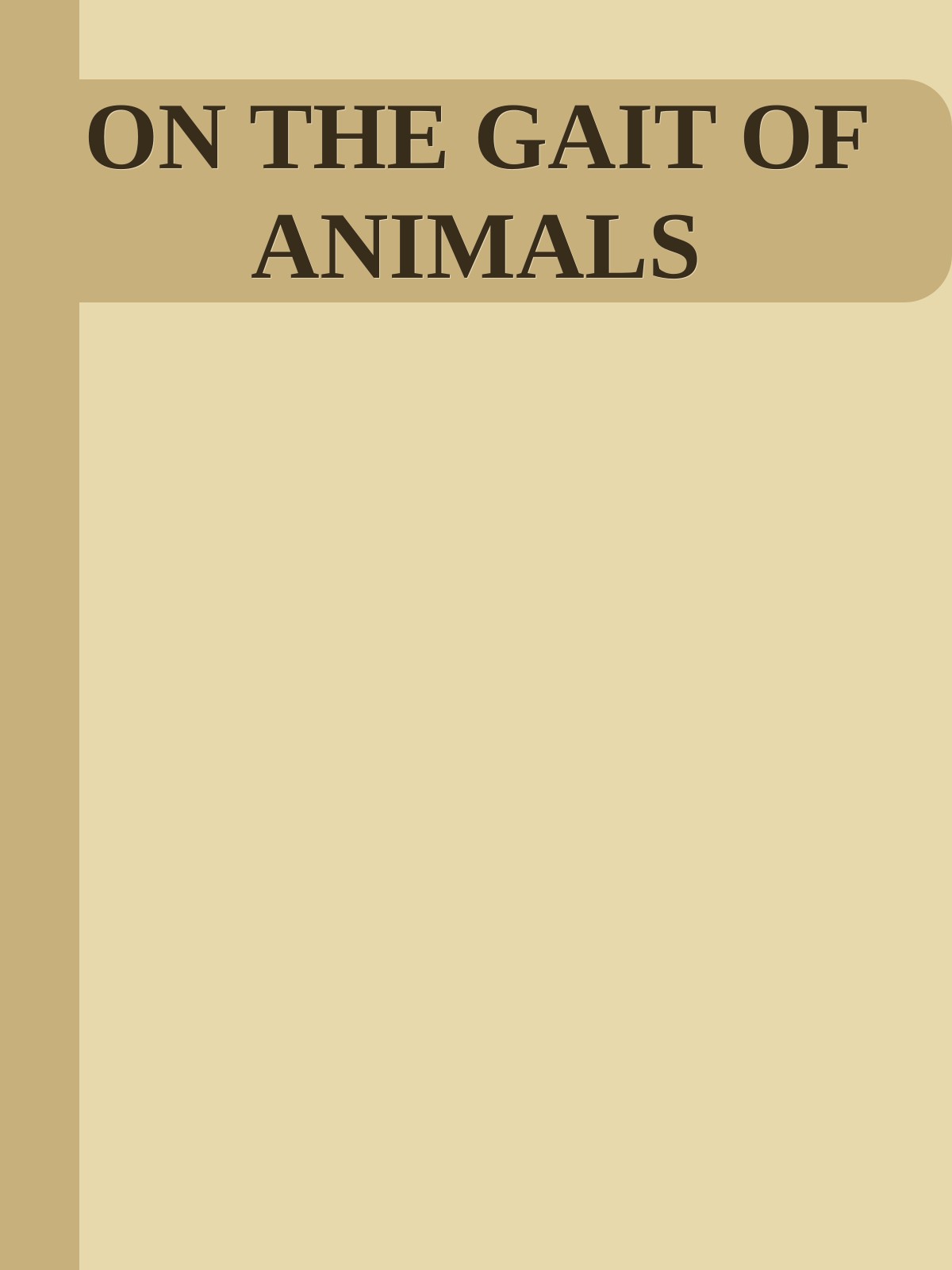 ON THE GAIT OF ANIMALS