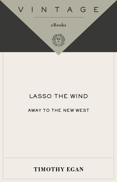 Lasso the Wind