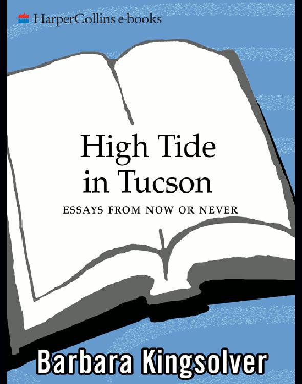 High Tide in Tucson