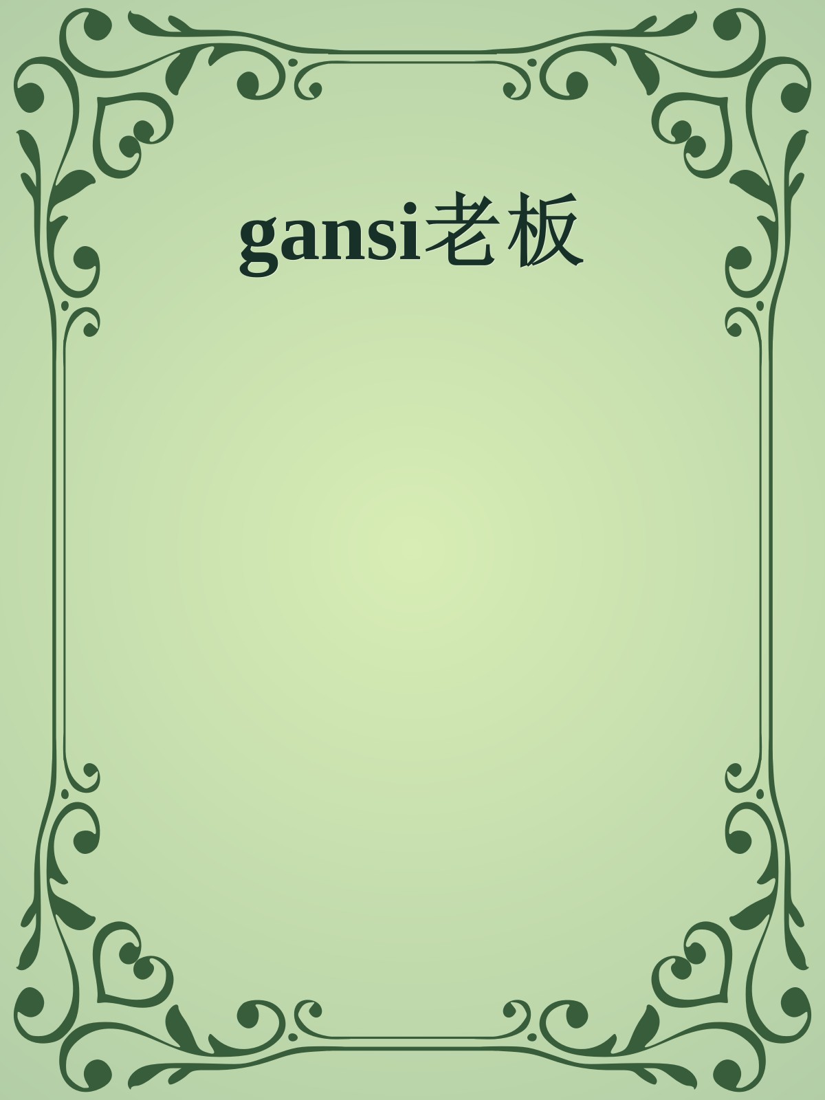 gansi老板