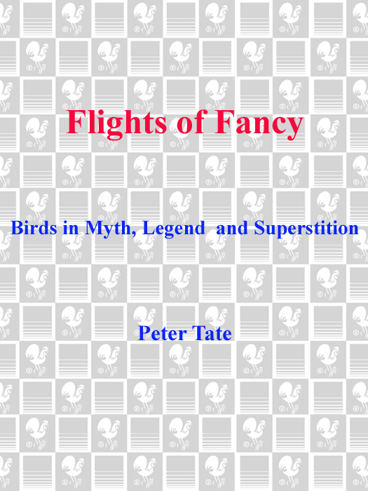 Flights of Fancy