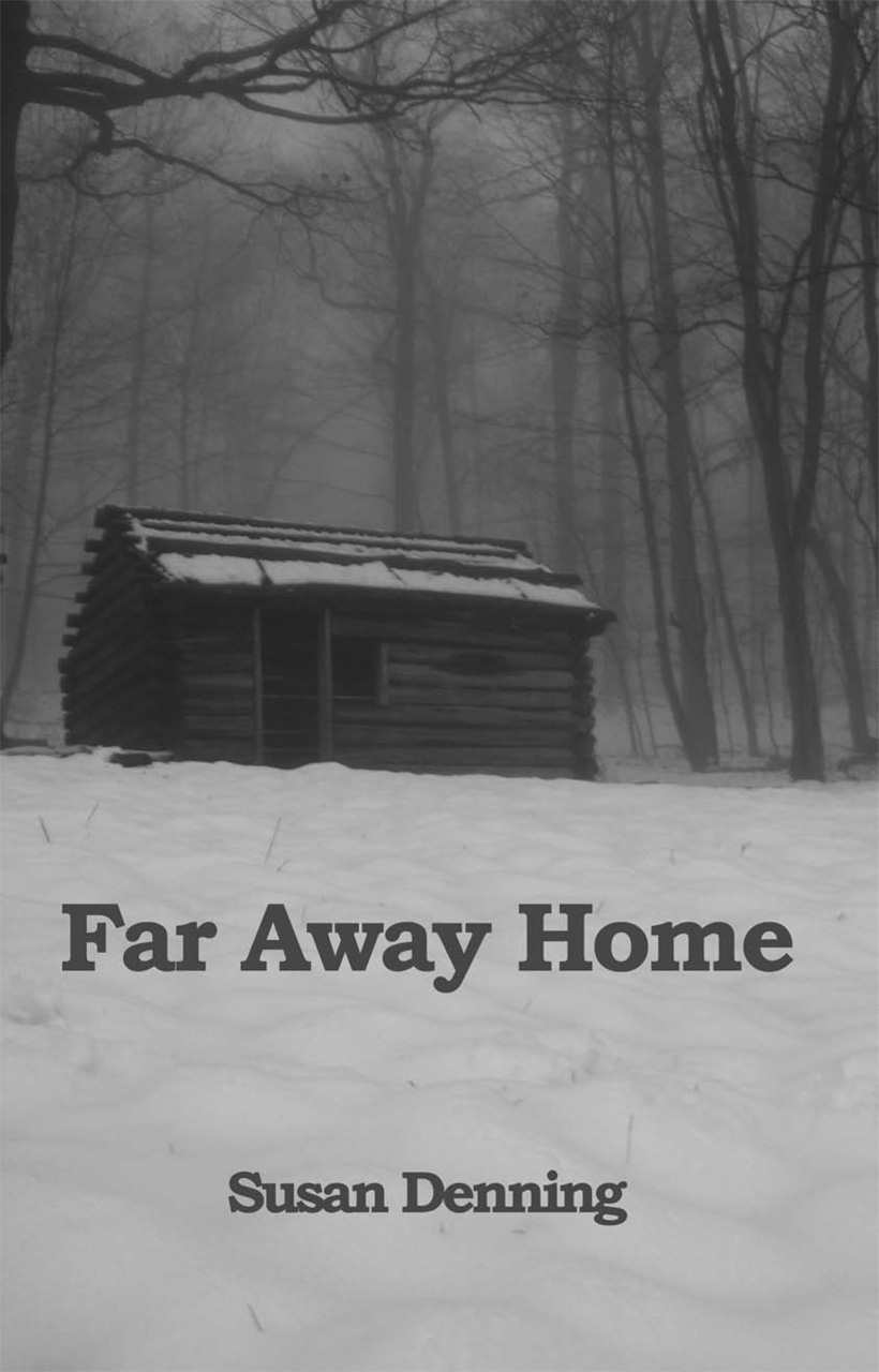 Far Away Home, an American Historical Novel