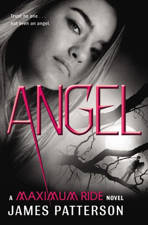 Angel: A Maximum Ride Novel