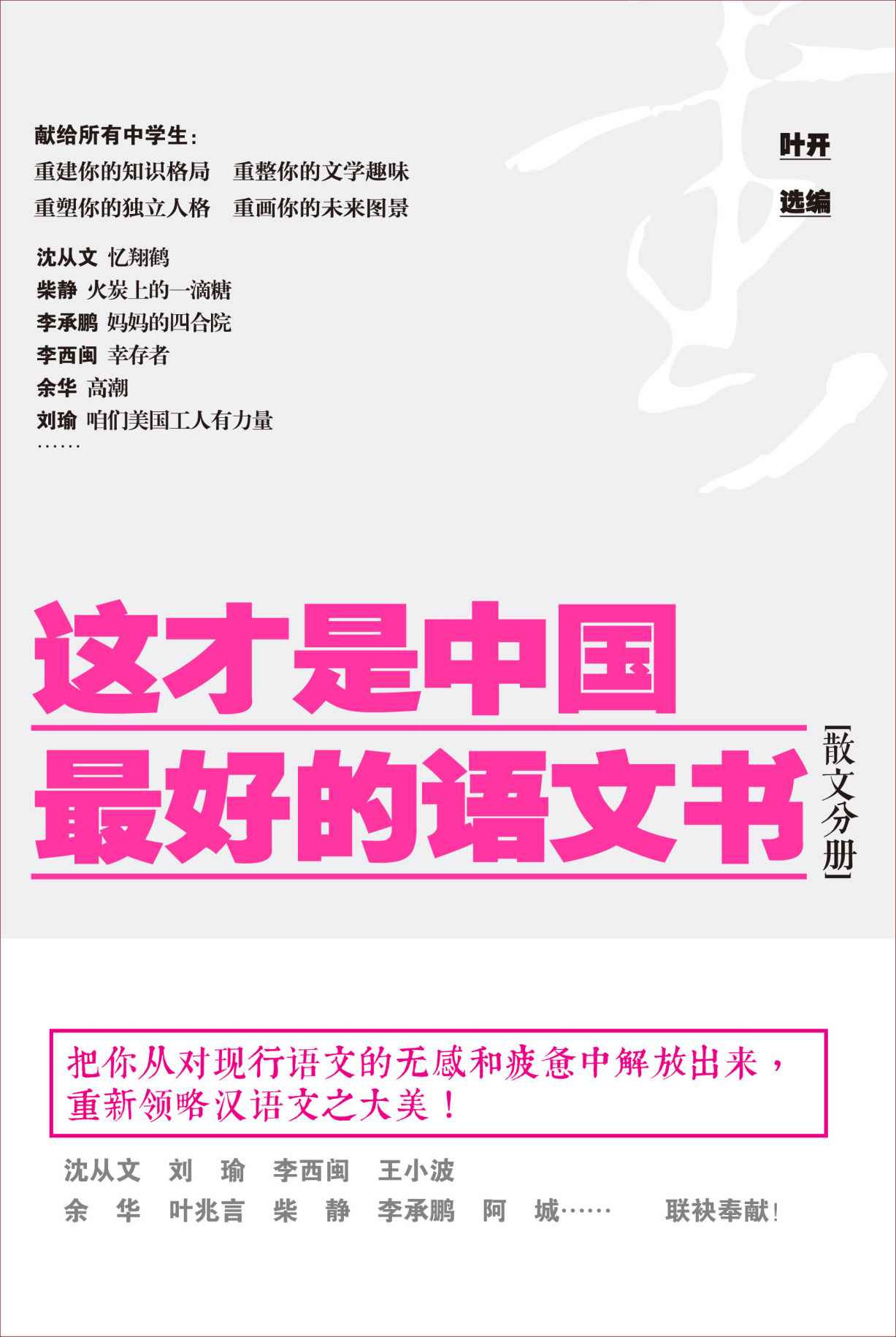 这才是中国最好的语文书（散文分册）（沈从文，刘瑜，王小波，余华，叶兆言，柴静，李承鹏联袂奉献！）