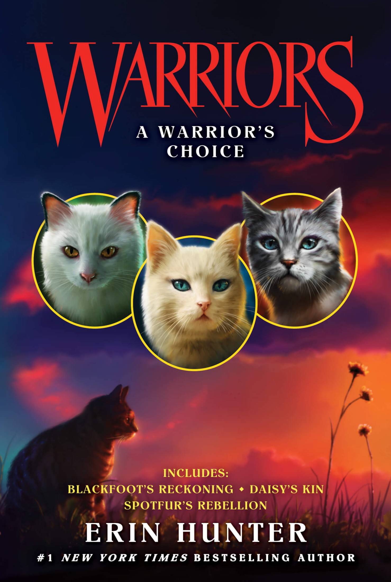 Warriors: A Warrior's Choice