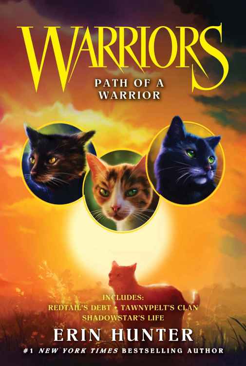 Warriors: Path of a Warrior (Warriors Novella)