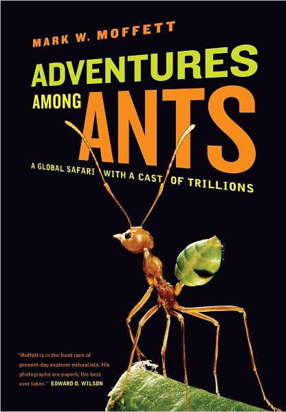 Adventures Among Ants