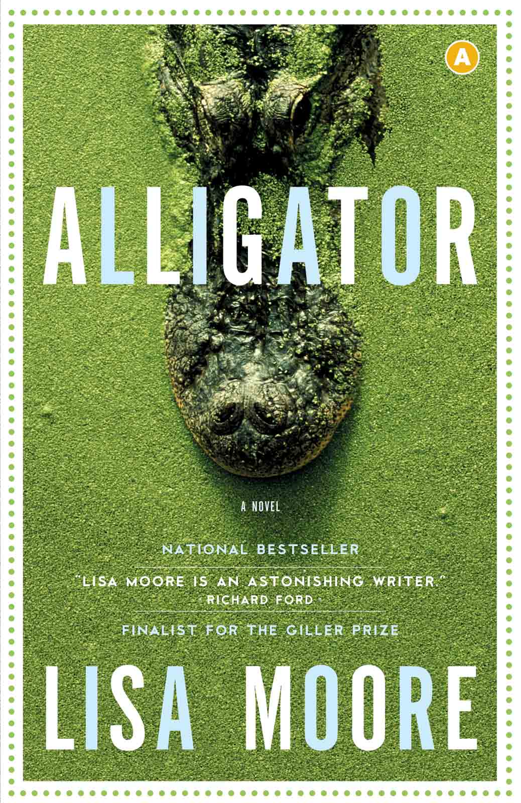 Alligator