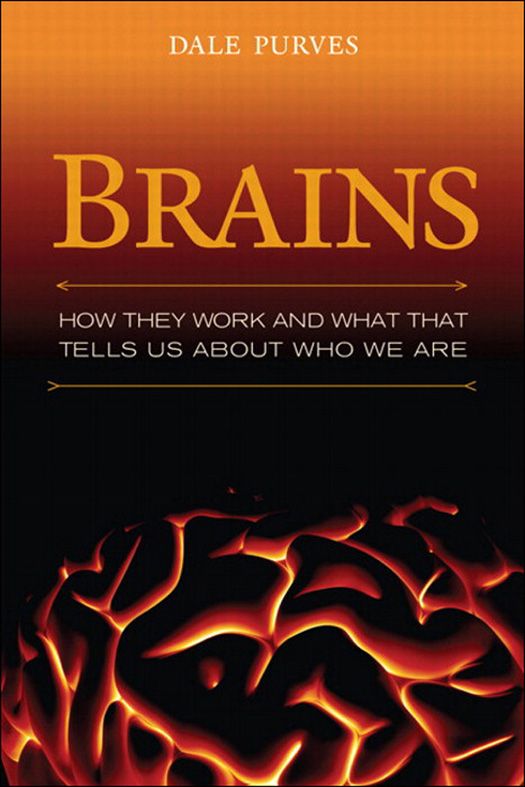 Brains