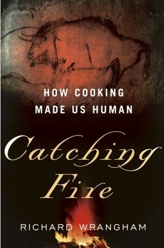 Catching Fire: How Cooking Made Us Human