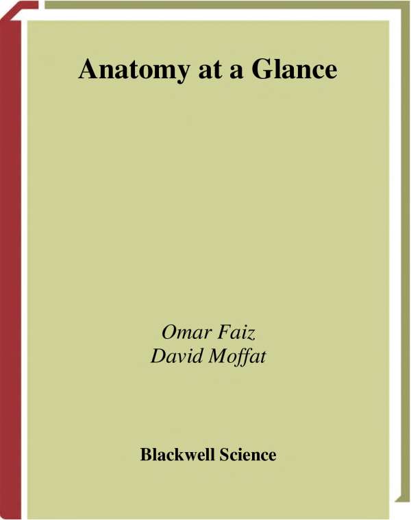 Anatomy At a Glance